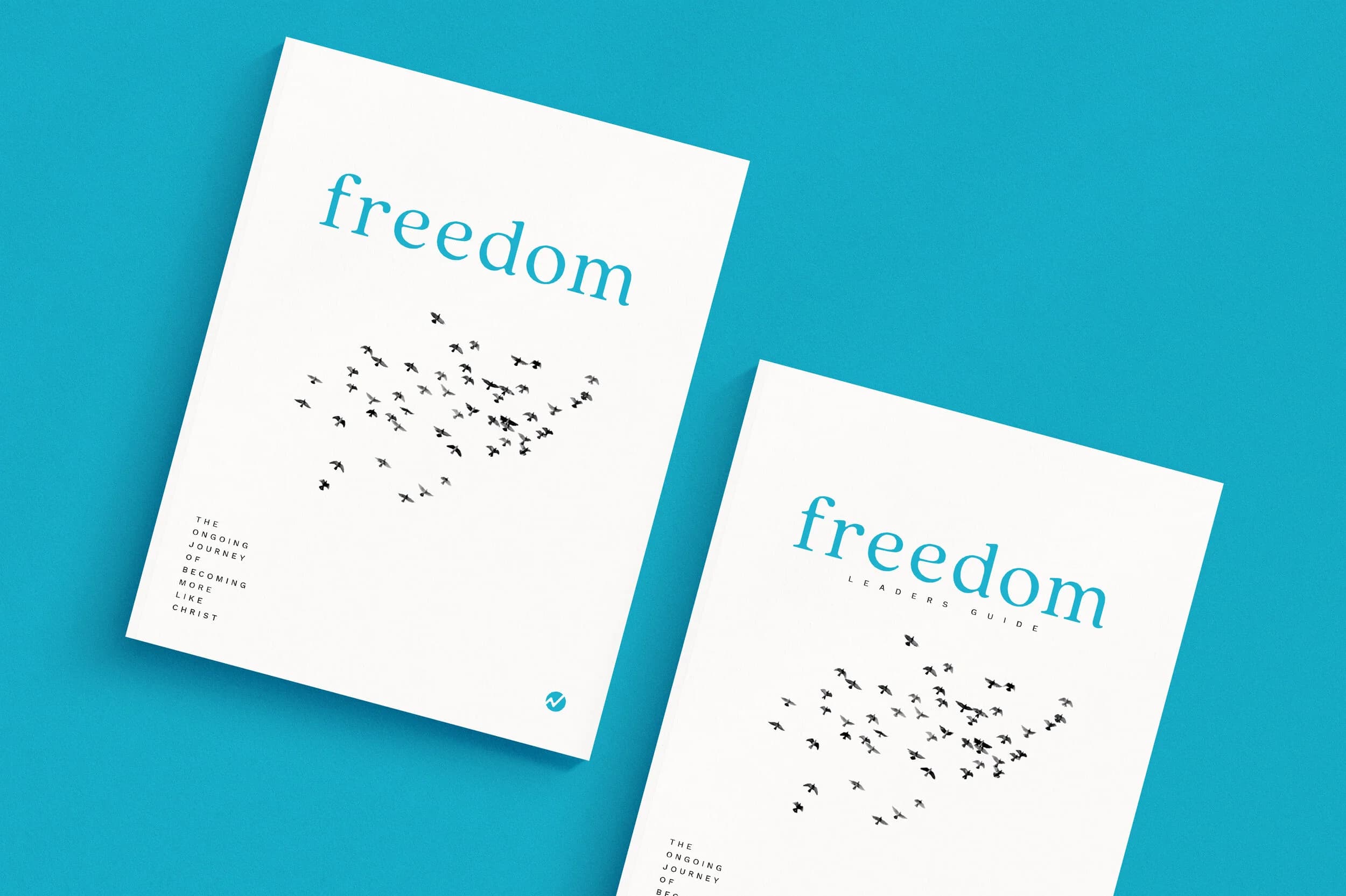The Freedom participant guide and leader guide covers